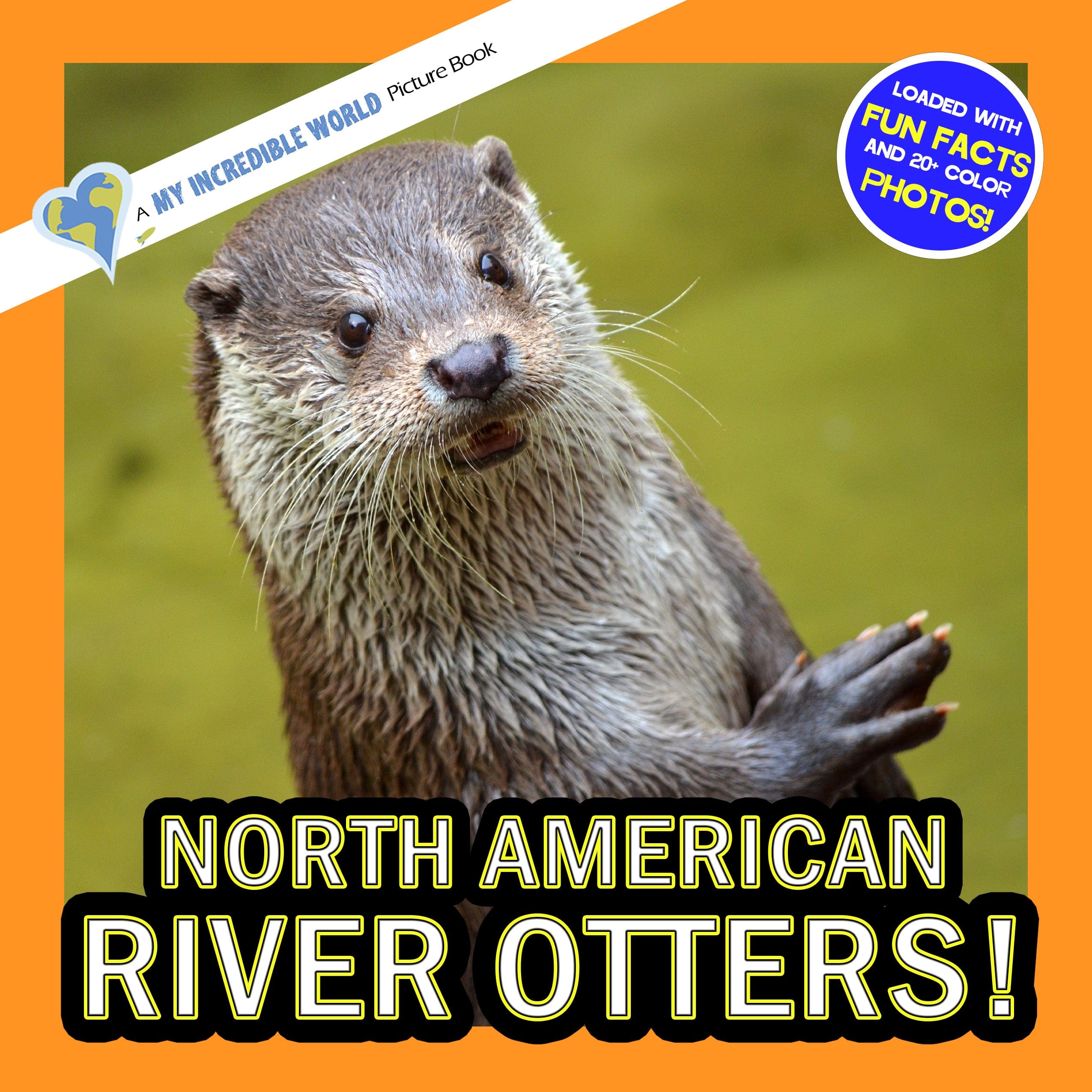 North American River Otters! A My Incredible World Picture Book for Children